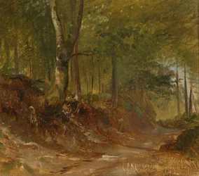 Un chemin forestier